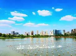 九游网页版入口-V,?棨5@粶拥?x詁2M=CA的简单介绍